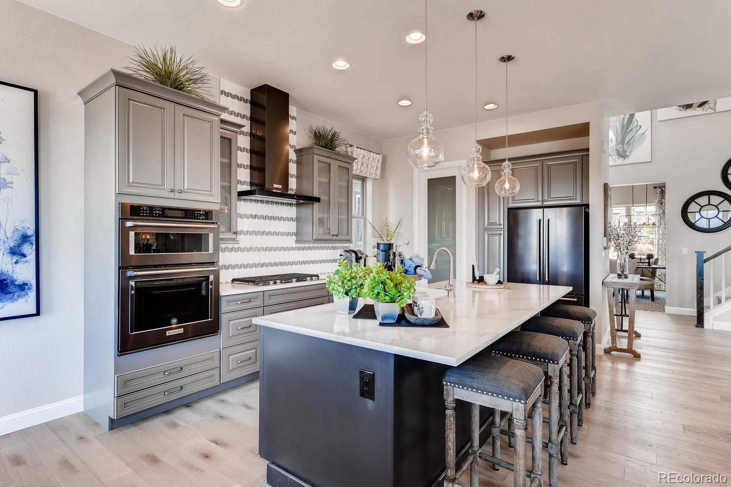 485 Meadowleaf Lane Highlands Ranch, CO 80126 - Photo 4 of 22