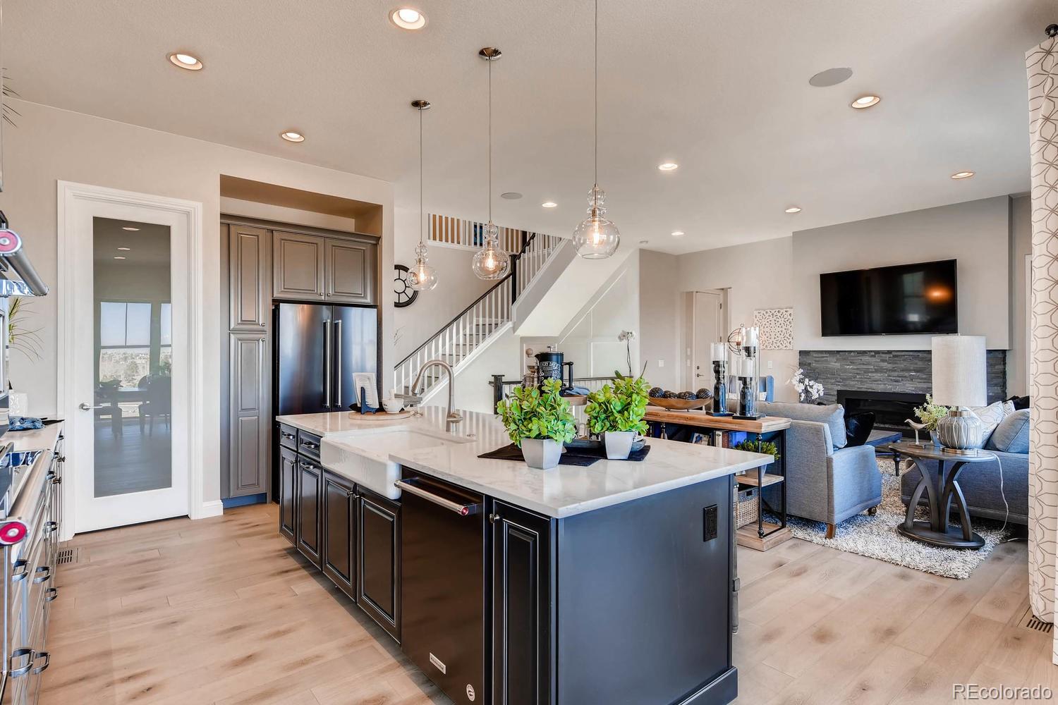 485 Meadowleaf Lane Highlands Ranch, CO 80126 - Photo 5 of 22