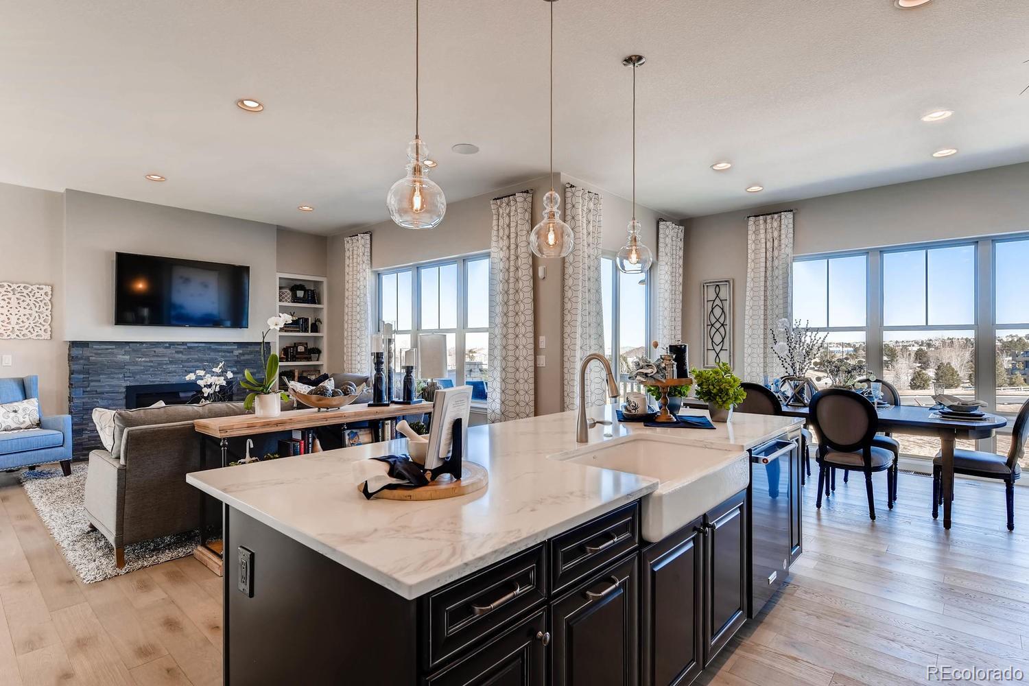 485 Meadowleaf Lane Highlands Ranch, CO 80126 - Photo 6 of 22