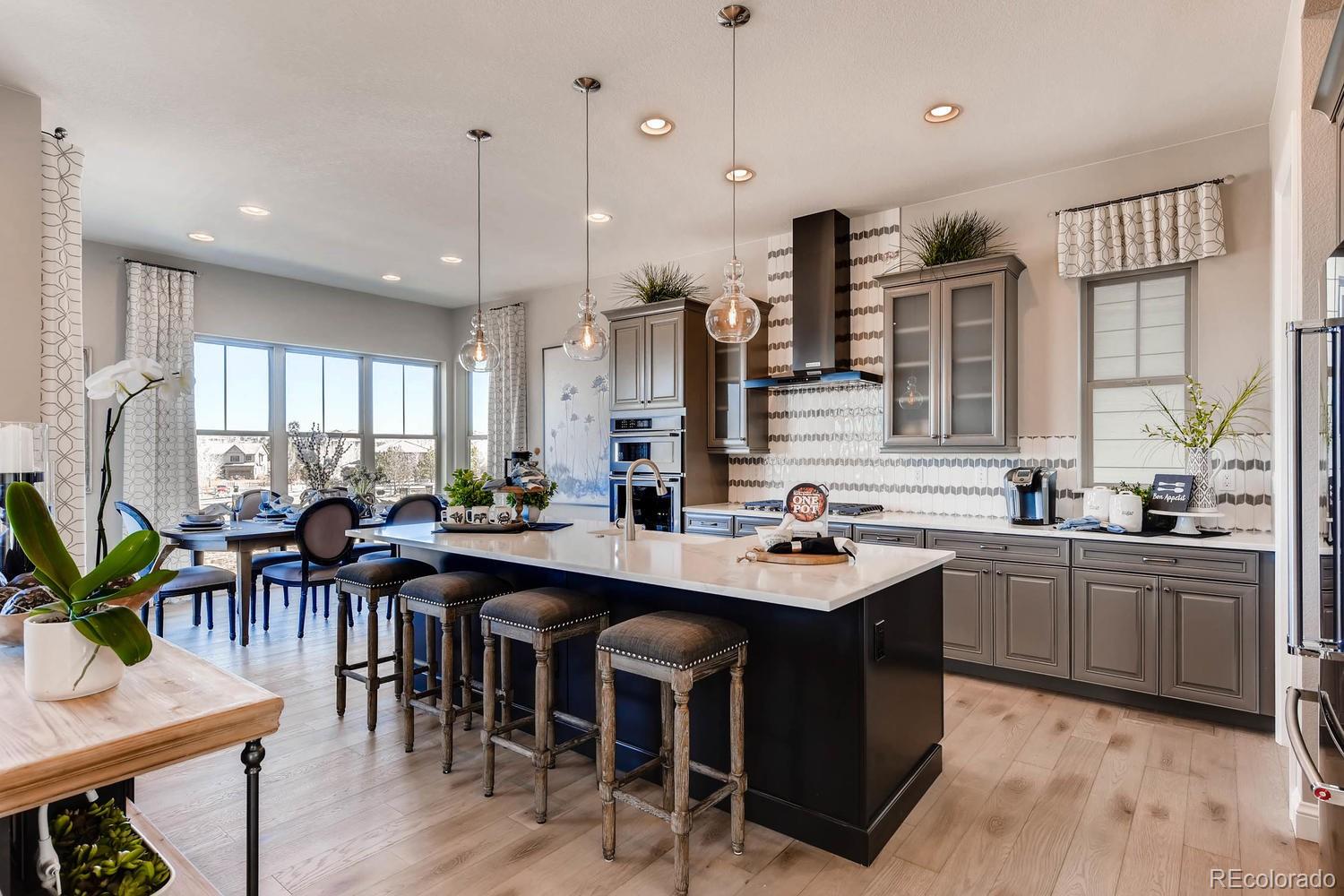 485 Meadowleaf Lane Highlands Ranch, CO 80126 - Photo 7 of 22