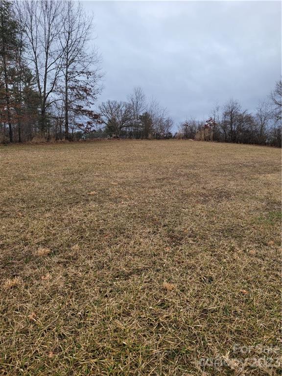 Tbd Hazel Brook Road Marshall, NC 28753 - Photo 8 of 11 Gallery Image 8