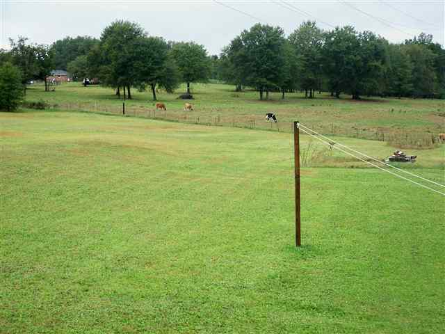 145 Roosevelt Johnson Farm Road Lyman, SC 29365 - Photo 23 of 25