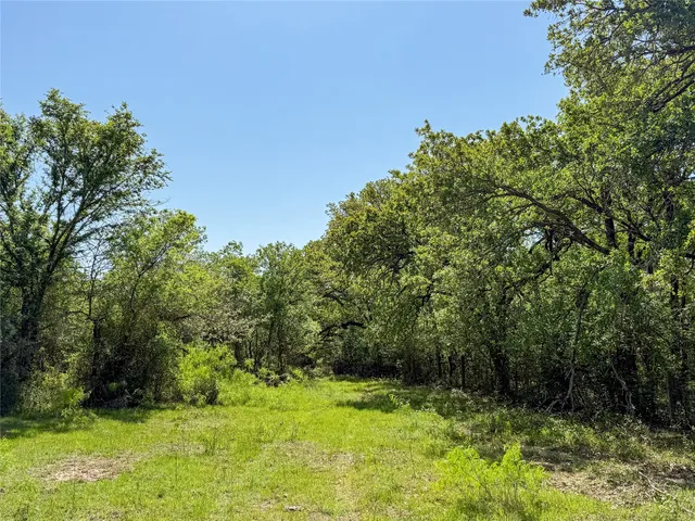 a view of an outdoor space and a yard