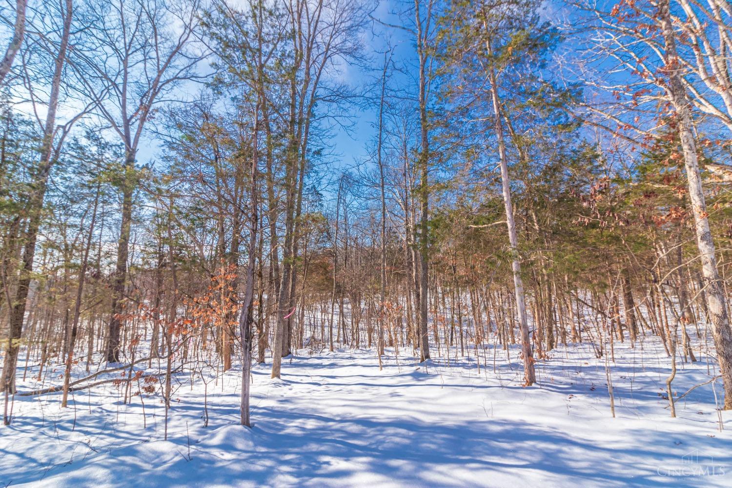 39 Rachel Road West Union, OH 45693 - Photo 46 of 48 Gallery Image 46