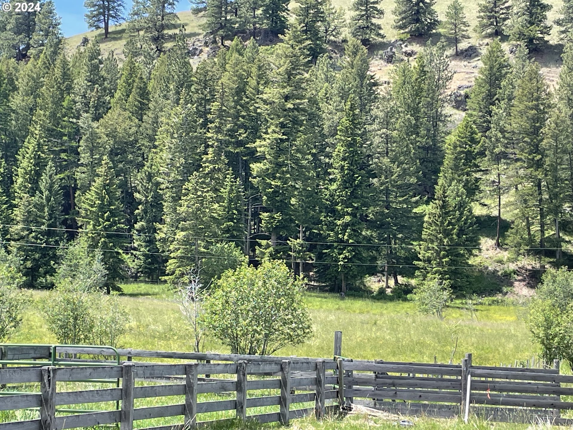 62254 Wallowa Mtn Loop Road Joseph, OR 97846 - Photo 3 of 35 a view of a yard