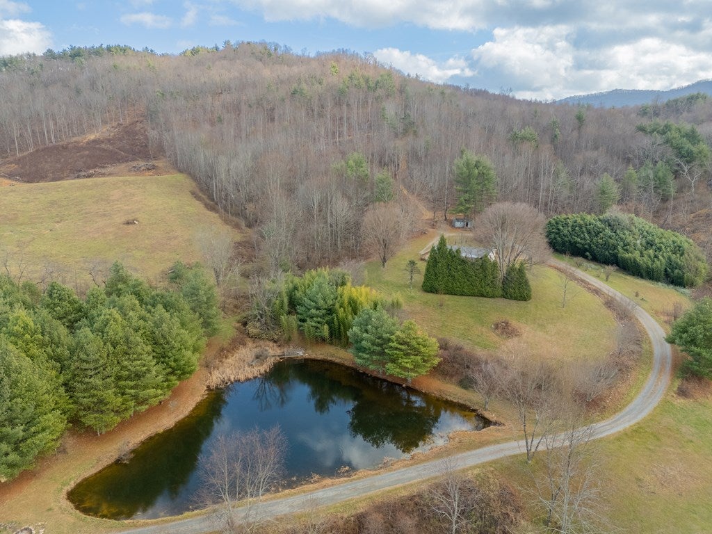 451 Summerfield Road Independence, VA 24348 - Photo 81 of 100 Gallery Image 81