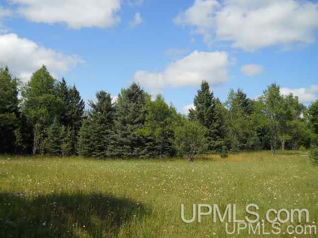 Tbd Tbd Off Stagecoach Road Michigamme, MI 49861 - Photo 8 of 37