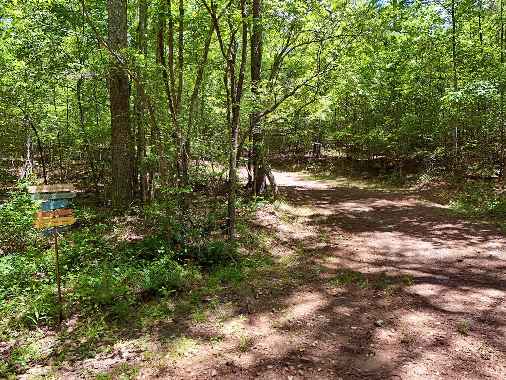 2 Carver Mill Road Jasper, GA 30143 - Photo 11 of 44 a view of outdoor space with trees