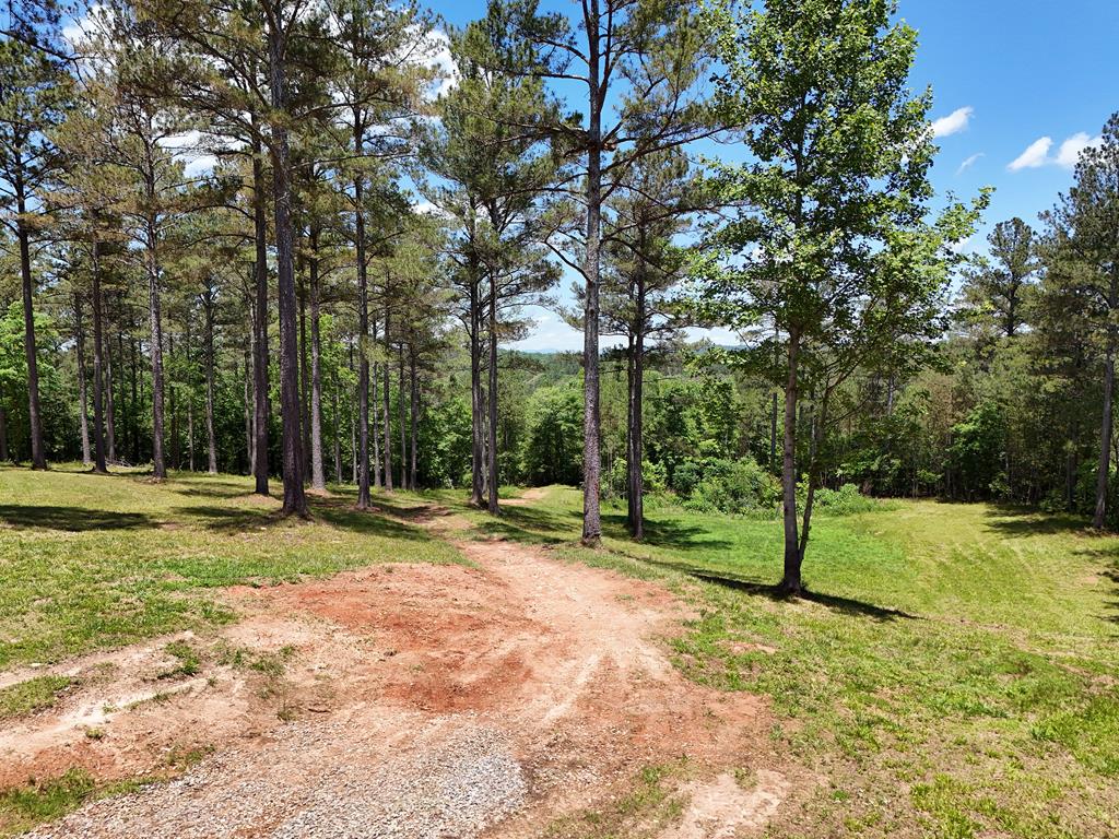 2 Carver Mill Road Jasper, GA 30143 - Photo 14 of 44