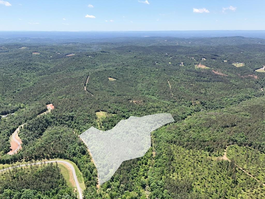 2 Carver Mill Road Jasper, GA 30143 - Photo 41 of 44 an aerial view of a house with a yard and mountain view in back