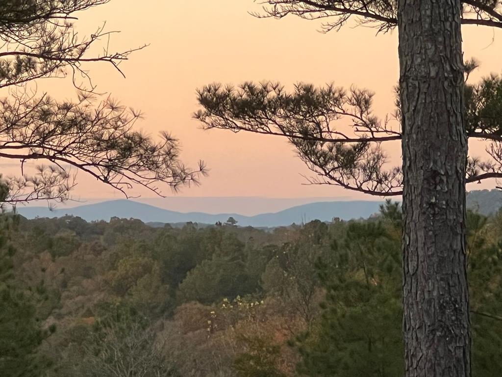 2 Carver Mill Road Jasper, GA 30143 - Photo 44 of 44 a view of mountain view with lots of trees