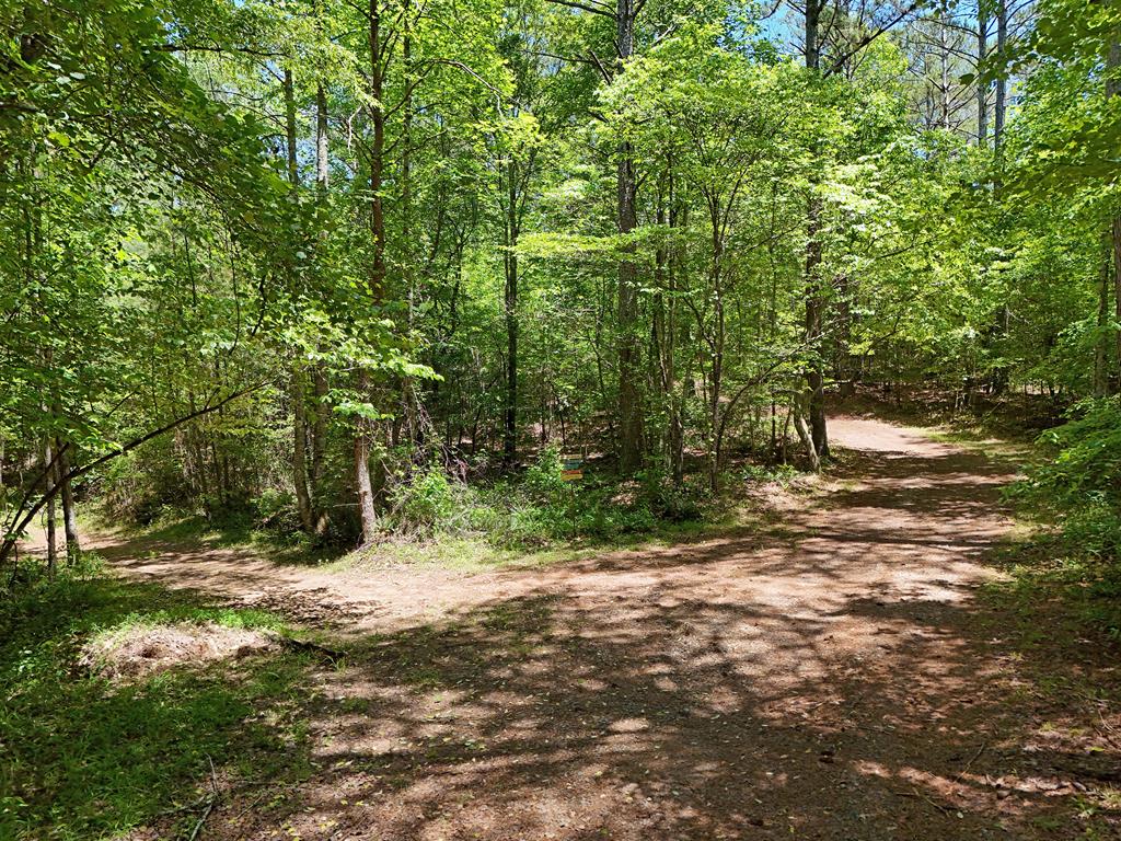 2 Carver Mill Road Jasper, GA 30143 - Photo 9 of 44 a view of a yard with a tree