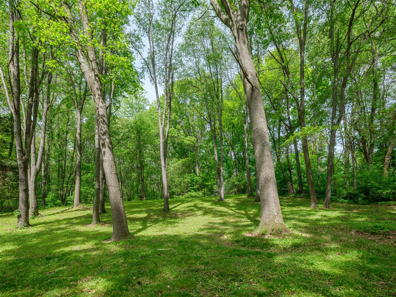 4511 Waldorf Road Delton, MI 49046 - Photo 27 of 30