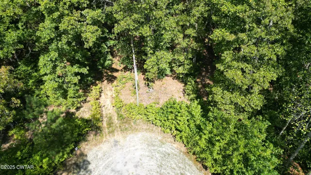 a view of a yard with plants