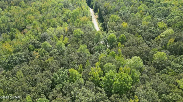 a view of a large yard with lots of green space