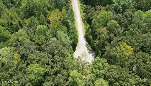 a view of a forest with a houses