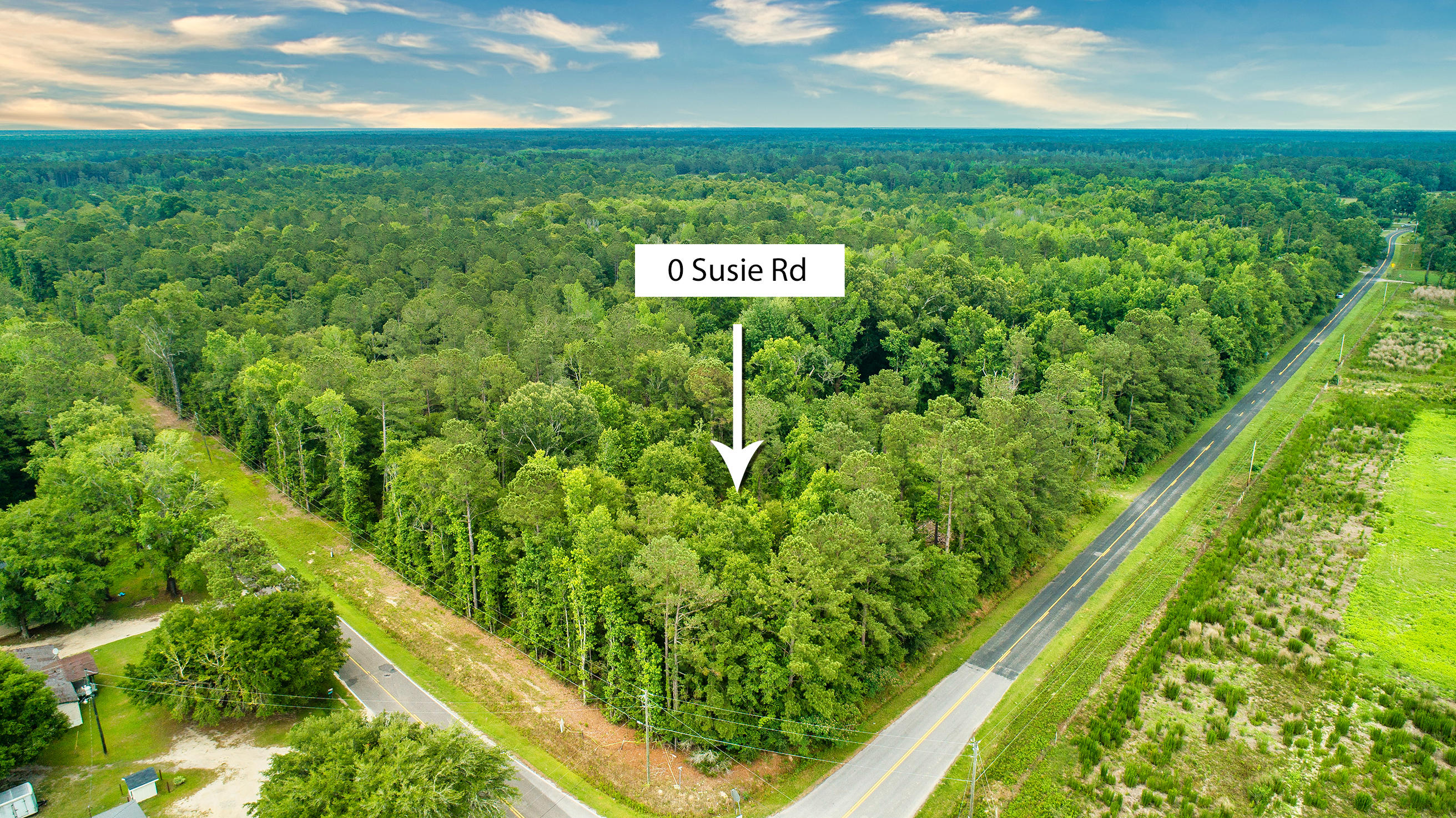0 Susie Road St. Stephen, SC 29479 - Photo 3 of 10 DJI_0016