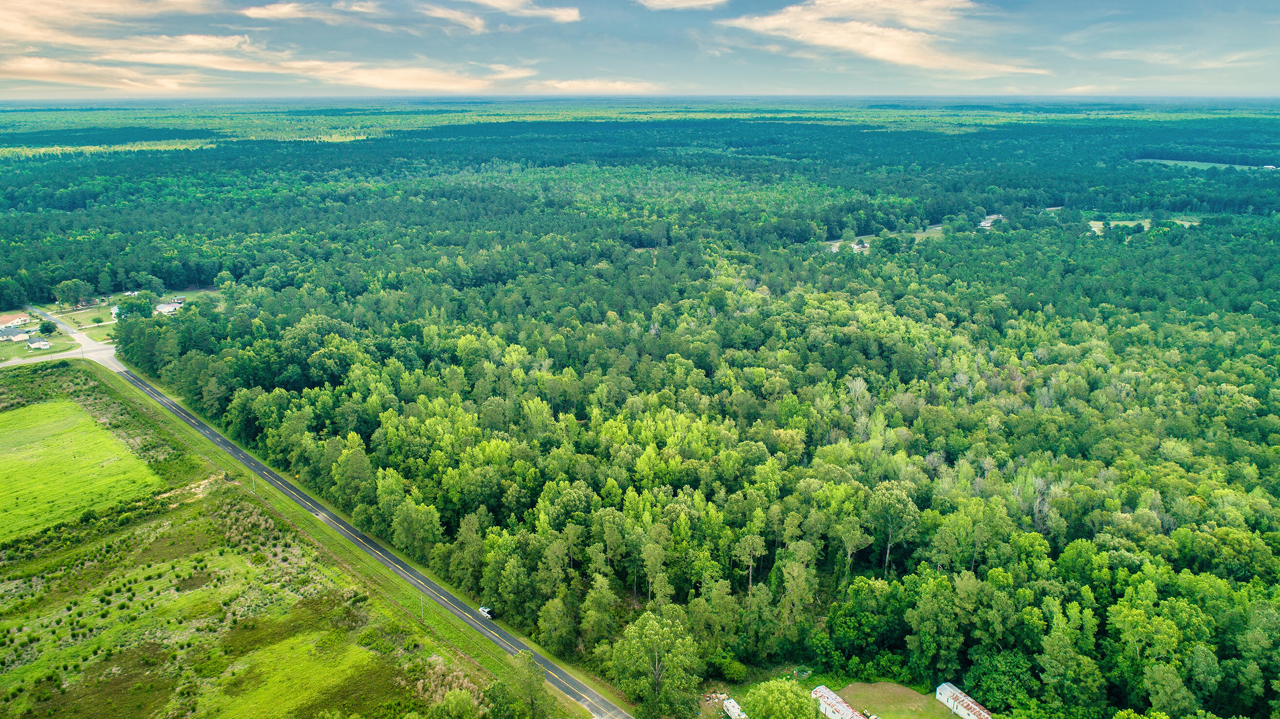 0 Susie Road St. Stephen, SC 29479 - Photo 5 of 10 DJI_0019