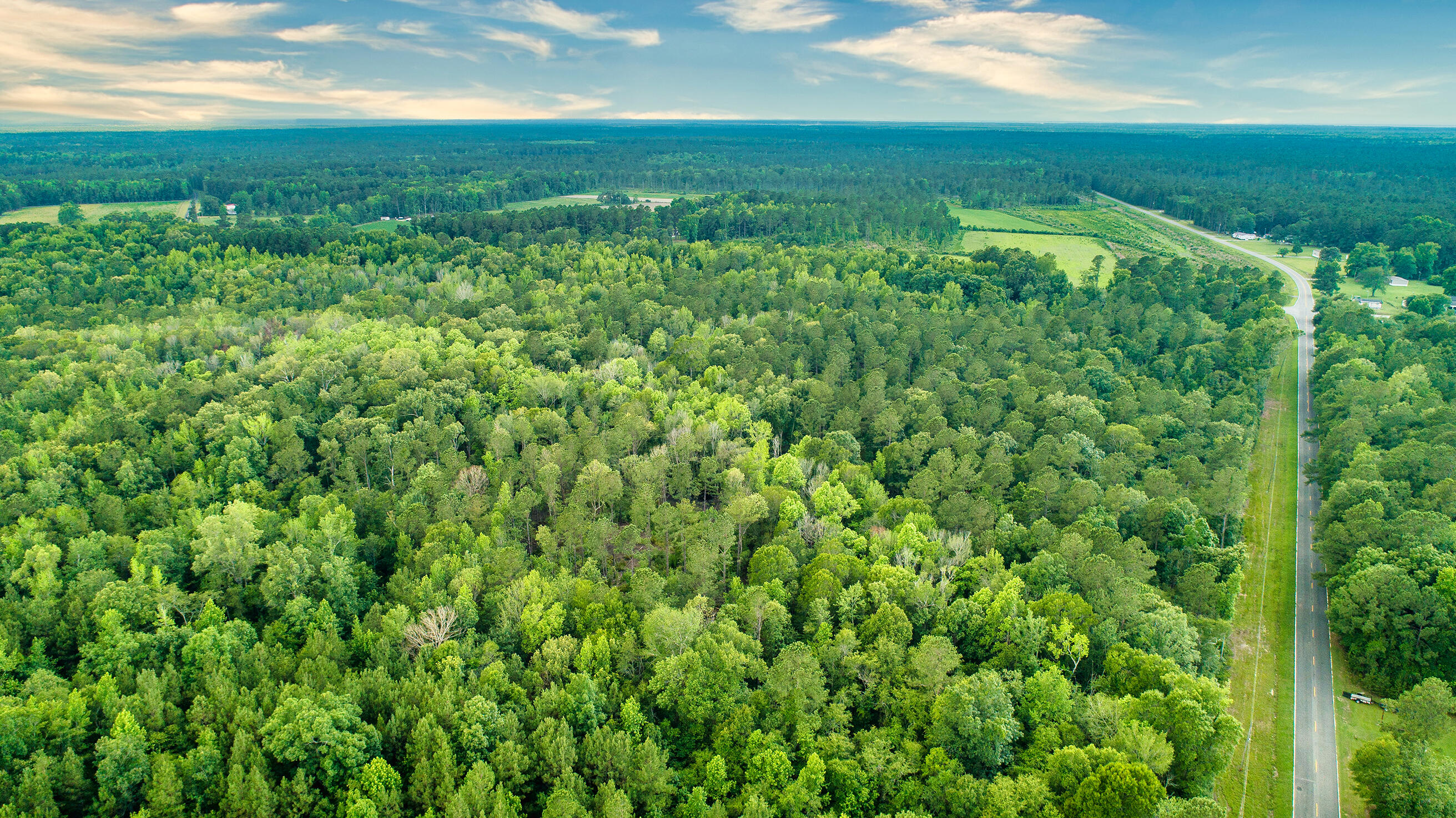 0 Susie Road St. Stephen, SC 29479 - Photo 6 of 10 DJI_0023