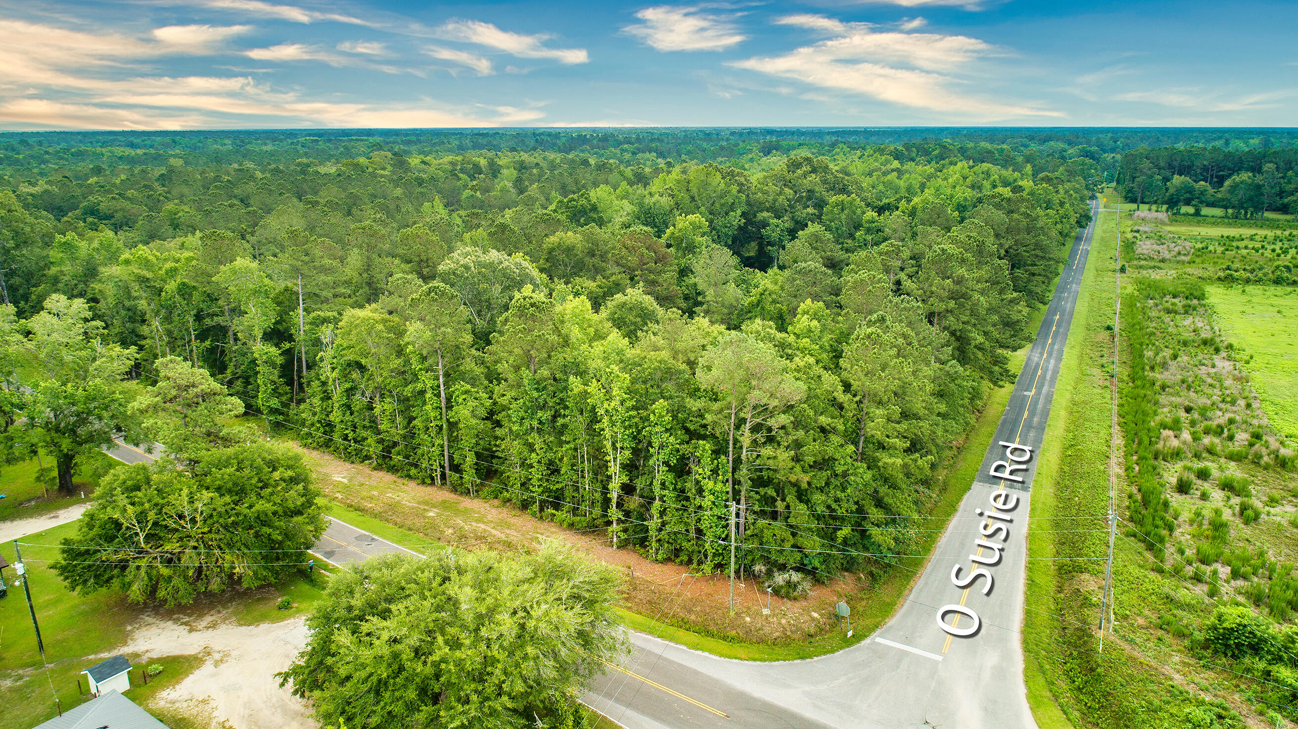 0 Susie Road St. Stephen, SC 29479 - Photo 10 of 10 DJI_0036-2