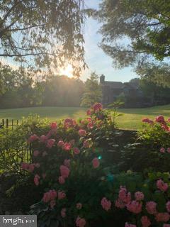 7 A Friendswood Court, Unit 7A Baltimore, MD 21209 - Photo 30 of 32 a view of a lake with outdoor space