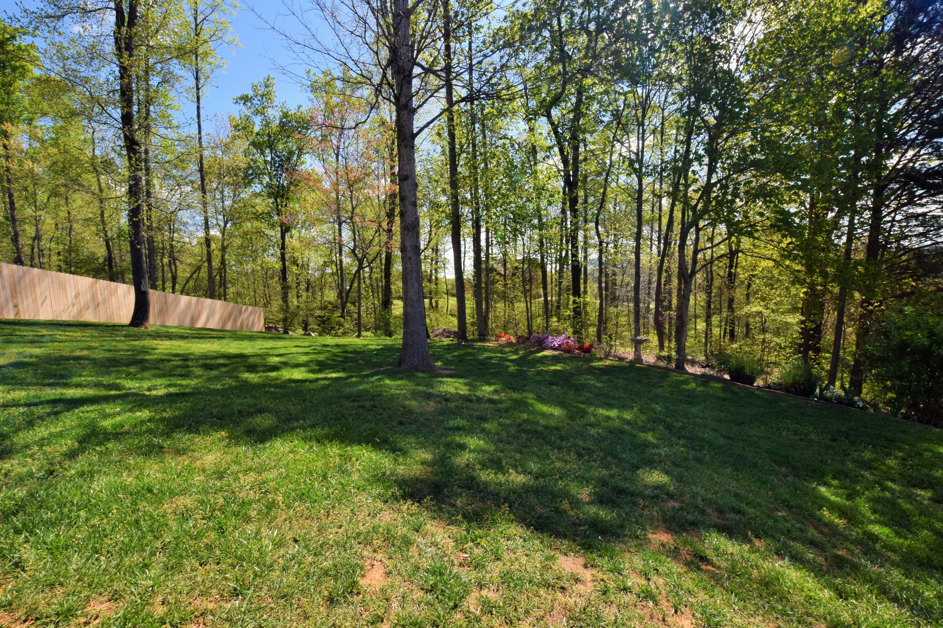 8126 Campbells Point Road Corryton, TN 37721 - Photo 33 of 35 Large yard