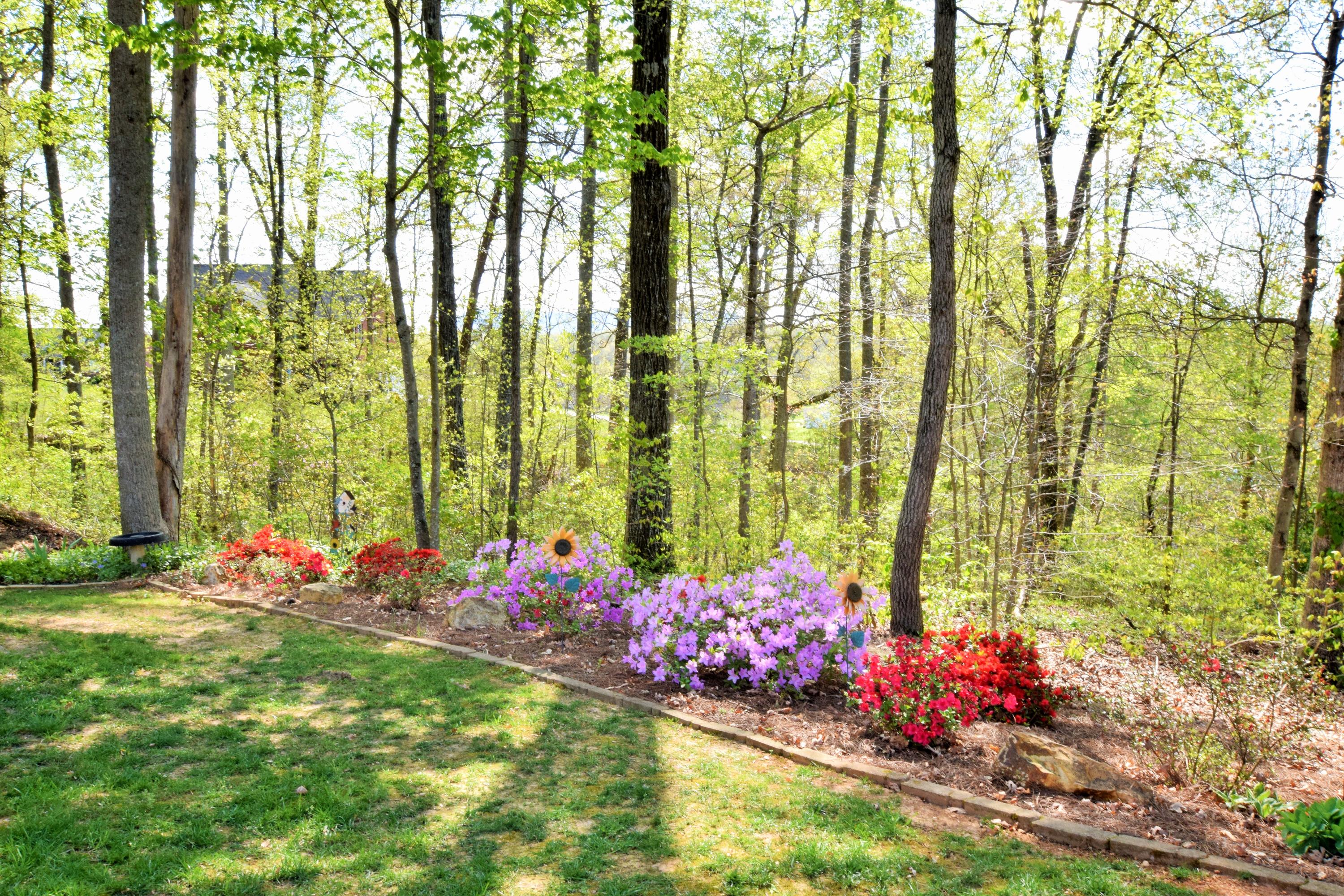 8126 Campbells Point Road Corryton, TN 37721 - Photo 34 of 35 Beautiful landscape through out