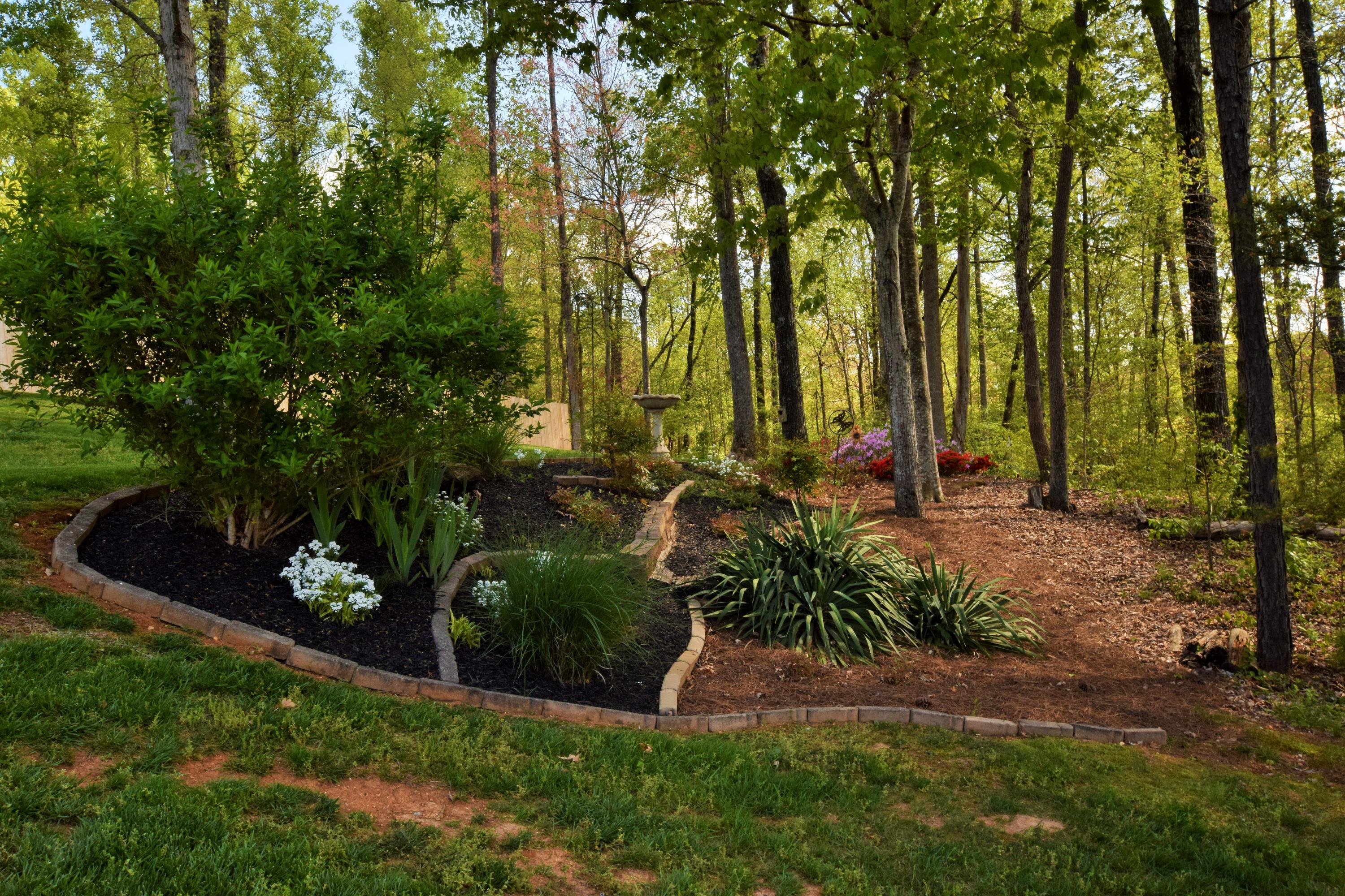 8126 Campbells Point Road Corryton, TN 37721 - Photo 35 of 35 Flower beds through out