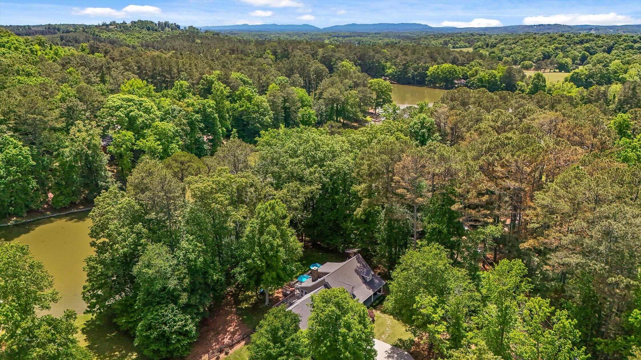 960 Shell Cracker Lane Cohutta, GA 30710 - Photo 63 of 65 View from Above