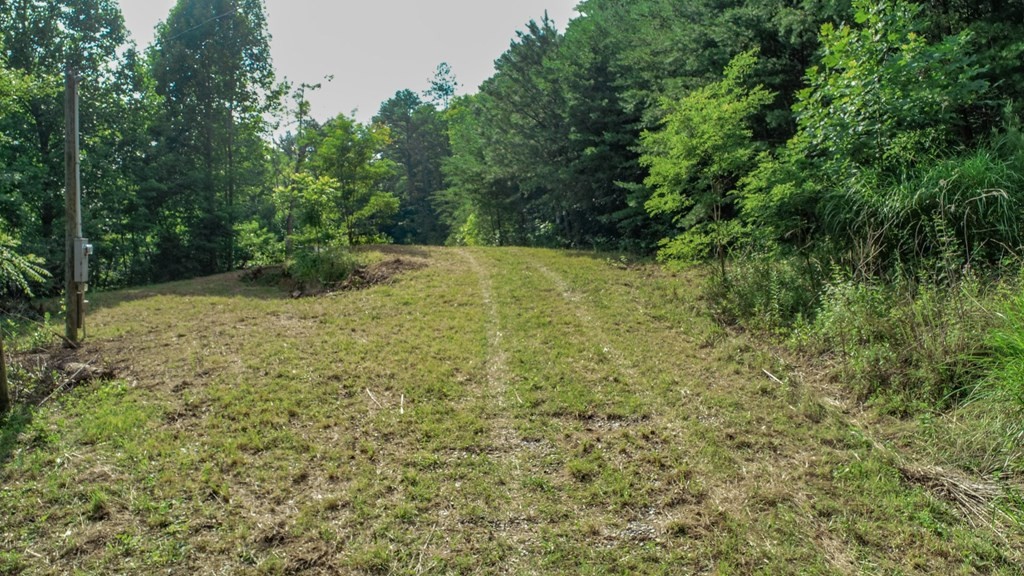 1634 Green Corner Road Hartford, TN 37753 - Photo 16 of 40 Gallery Image 16