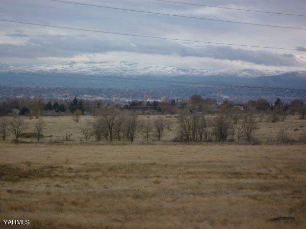 Nna Wendt Road Yakima, WA 98901 - Photo 5 of 8 a view of a field with trees in background