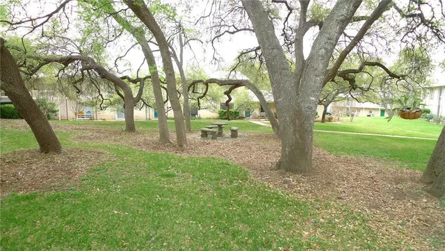 a view of yard with trees