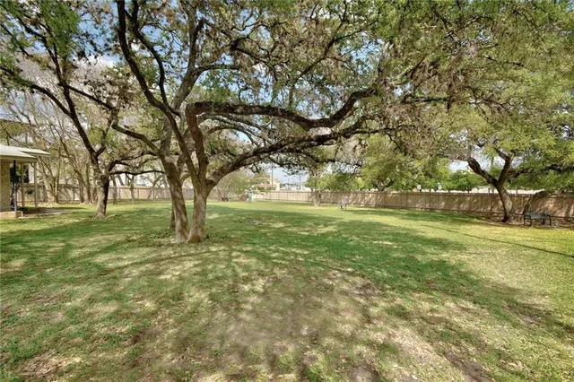 a view of a yard with trees