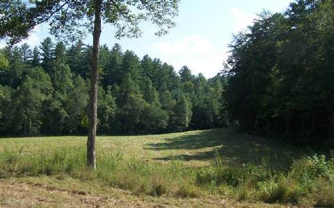 47.17 Loving Road Morganton, GA 30560 - Photo 1 of 1 Main View