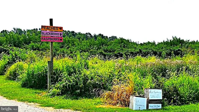 $2,099 | 156 Munsee Circle, Winchester, VA 22602