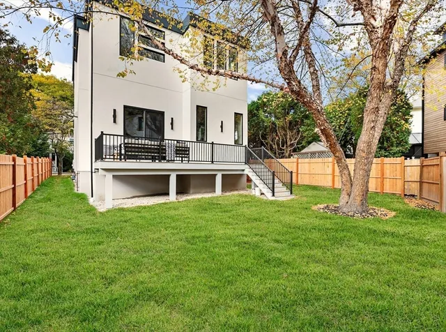 a view of a yard with plants and a large tree