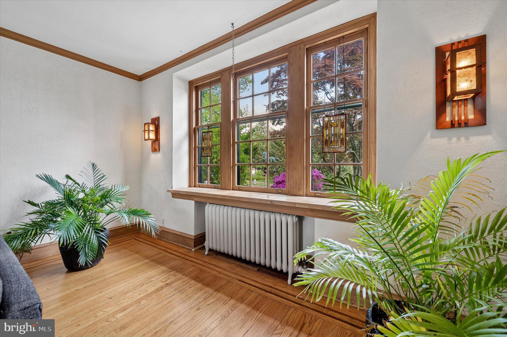 Sunlit living room windows.