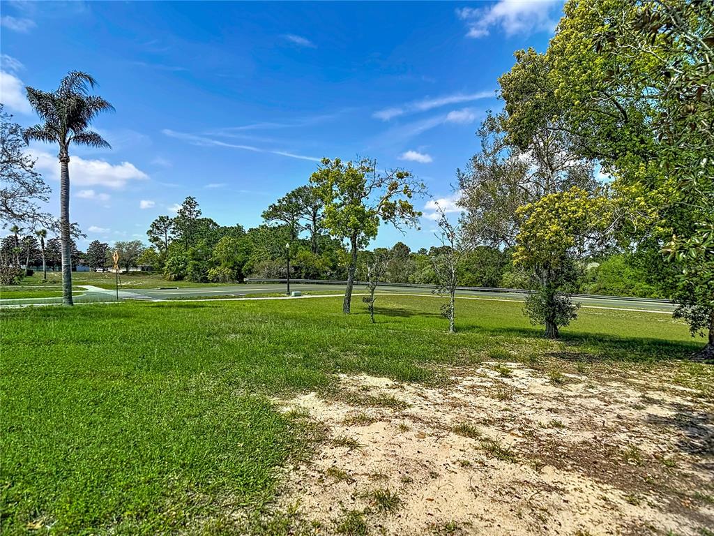 13403 Bolton Court Spring Hill, FL 34609 - Photo 45 of 47