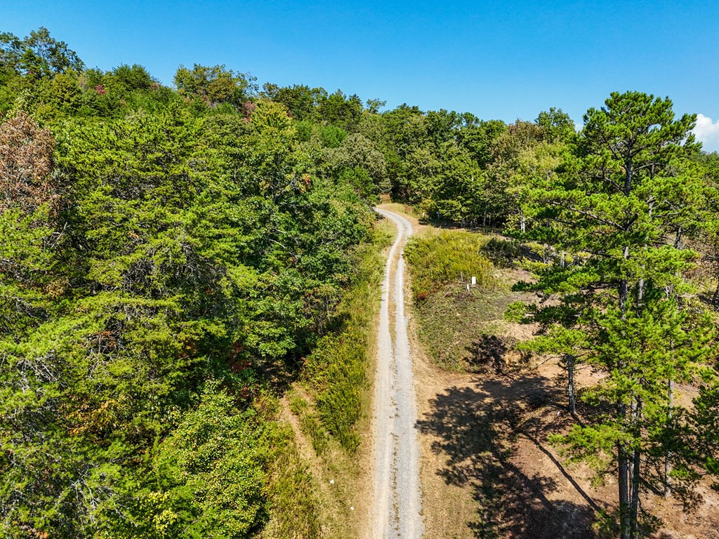 0 Mistletoe Ridge Murphy, NC 28906 - Photo 27 of 34