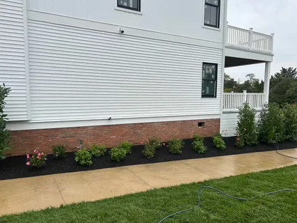 a view of a back yard