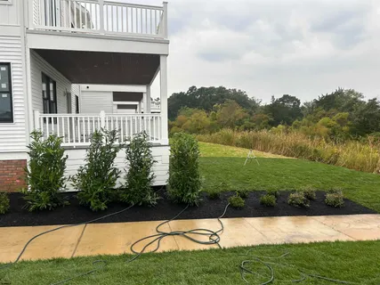 a view of a back yard