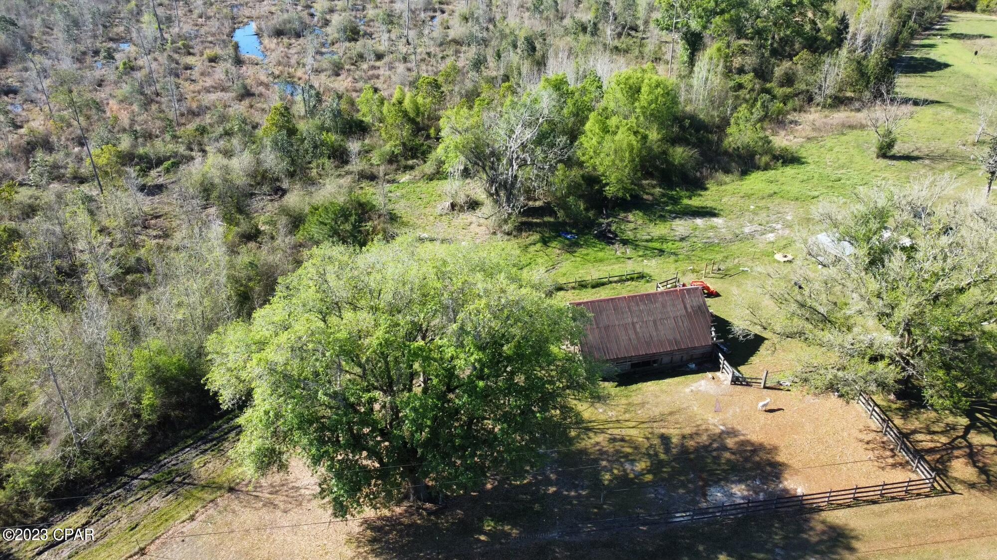 4507 Wilderness Road Vernon, FL 32462 - Photo 12 of 15
