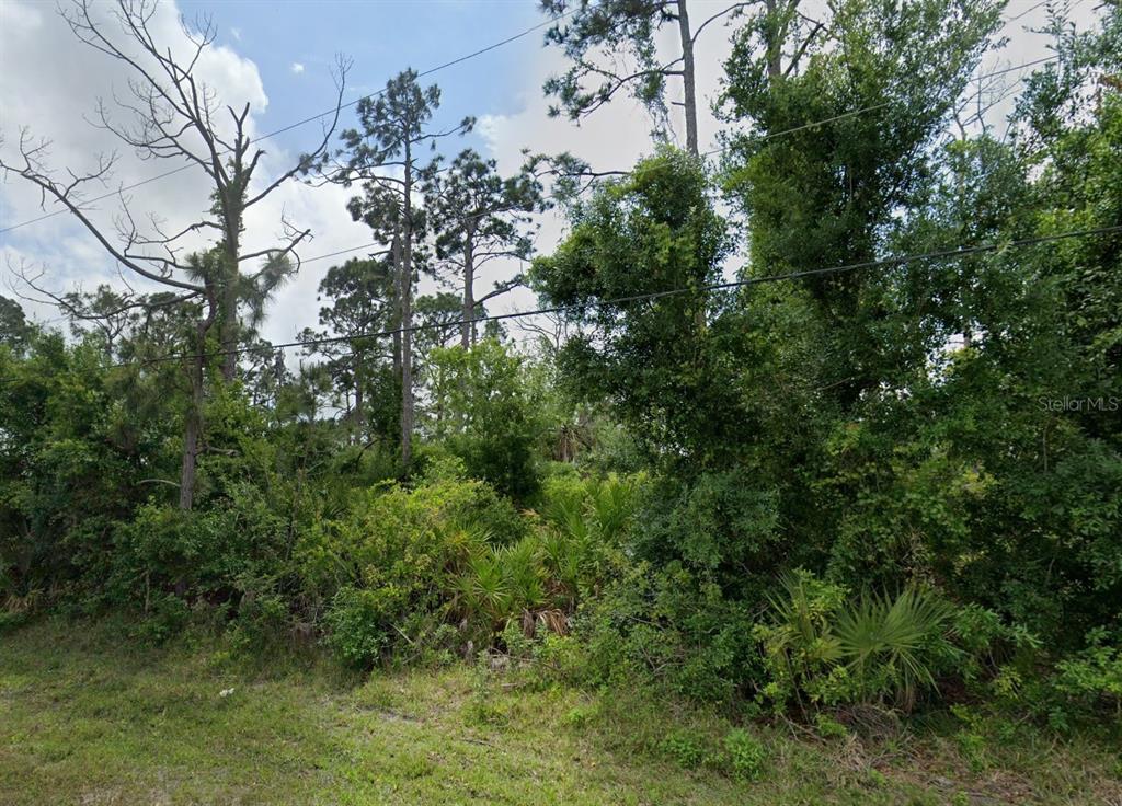 12519 Patsy Avenue Port Charlotte, FL 33981 - Photo 5 of 14 an aerial view of residential house with outdoor space and trees all around