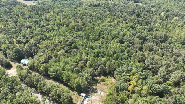 $19,000 | 0 C C Allen Lane, Middleton, TN 38052