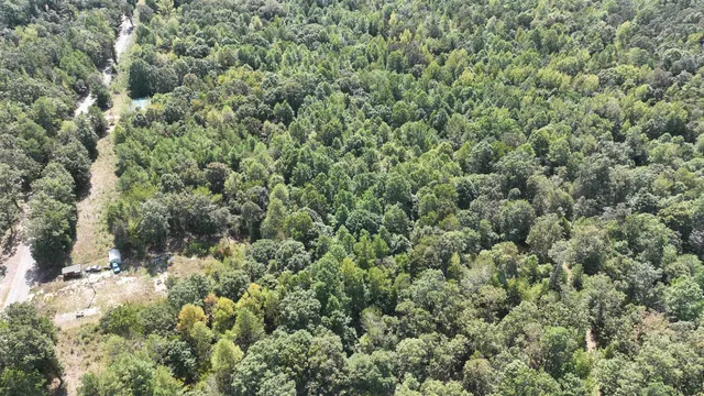 $19,000 | 0 C C Allen Lane, Middleton, TN 38052