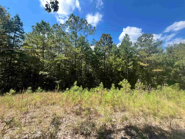 $19,000 | 0 C C Allen Lane, Middleton, TN 38052