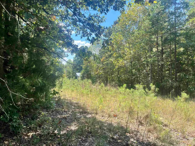 $19,000 | 0 C C Allen Lane, Middleton, TN 38052