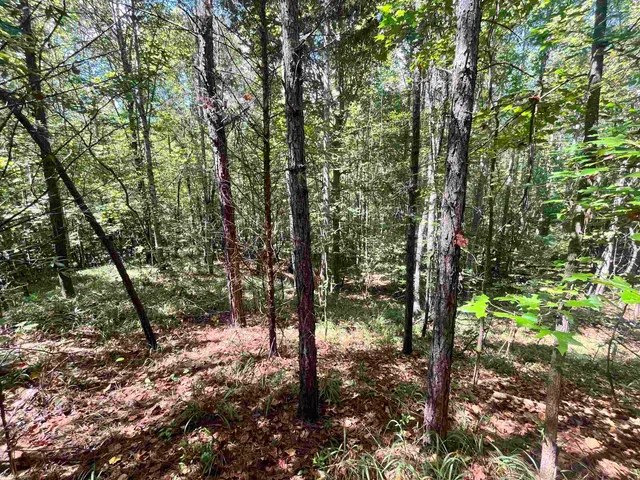 $19,000 | 0 C C Allen Lane, Middleton, TN 38052