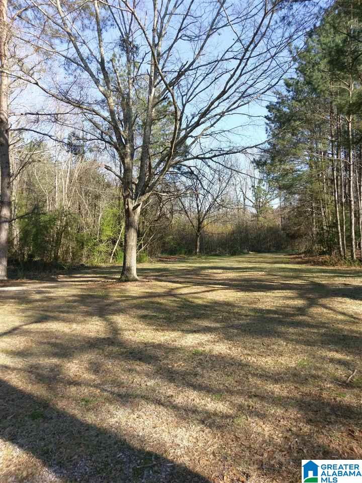 4280 County Road 25, Unit 1 Jemison, AL 35085 - Photo 6 of 6