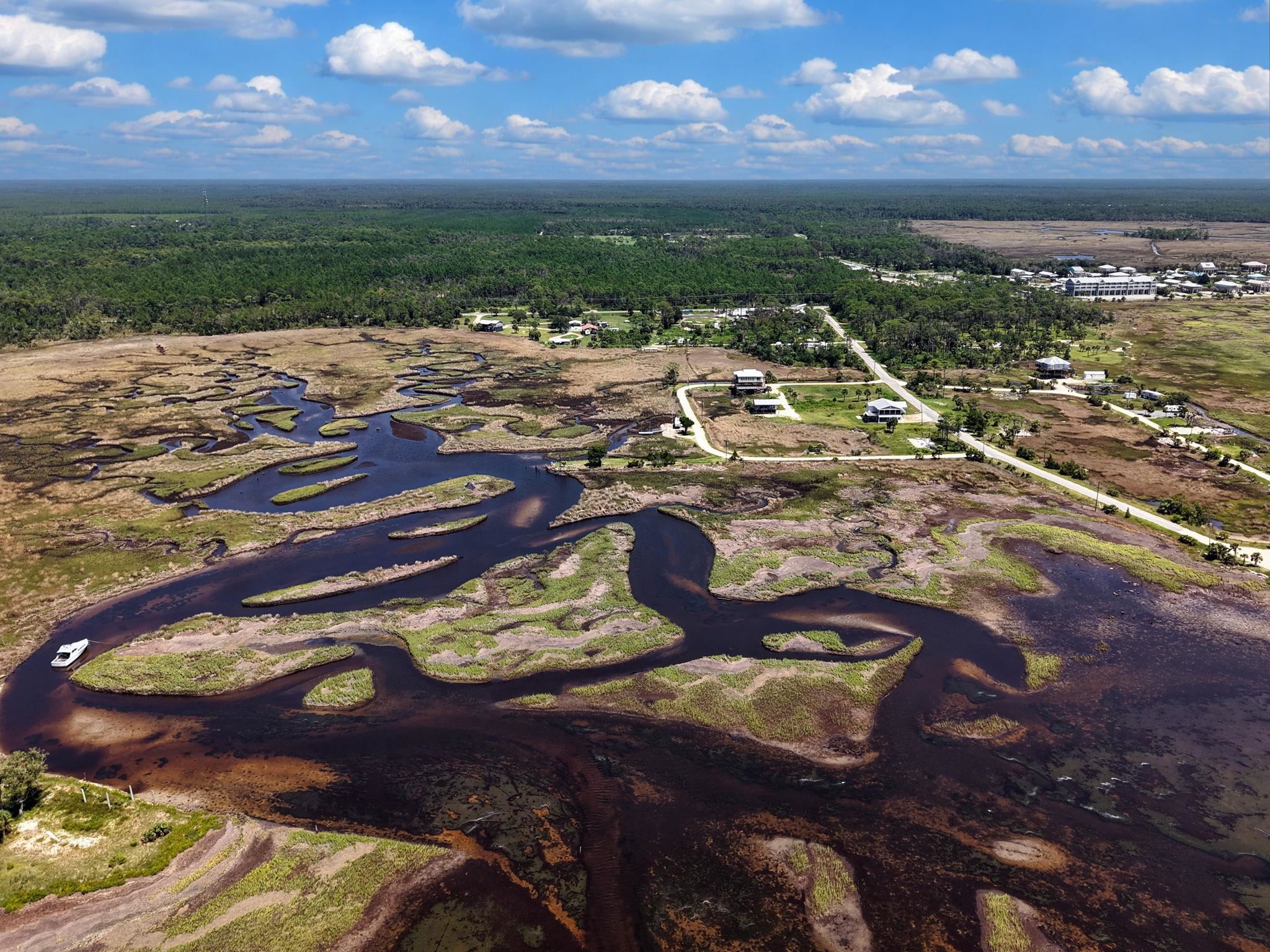 3 Ezell Beach Road Perry, FL 32348 - Photo 4 of 9 Gallery Image 4